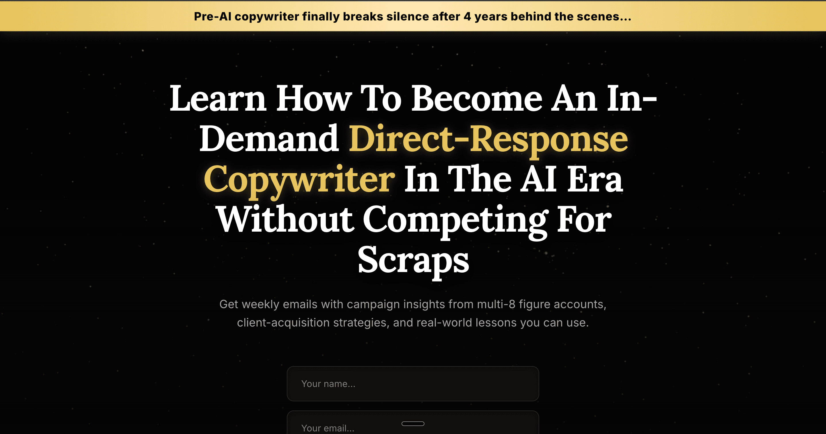 Alain Dobrev – Newsletter Opt-In Funnel — results